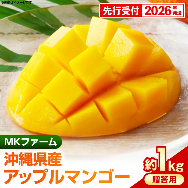 【先行受付】【2026年発送】MKファームの贈答用アップルマンゴー約1kg【贈答用】- 贈答用 ギフト 先行予約 沖縄県産 産地直送 南国フルーツ 旬の味覚 アップルマンゴー オススメ 沖縄県 八重瀬町