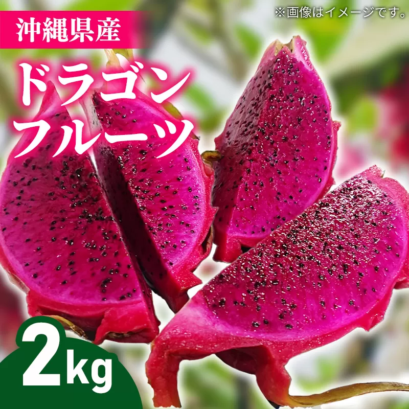 【2026年発送】熱帯果樹生産組合の完熟ドラゴンフルーツ 【レッドドラゴンフルーツ】　約2kg(3～7玉)- 赤 果肉 レッド ピタヤ スーパーフルーツ 先行受付 先行予約 人気 抗酸化作用 ベタシアニン おすすめ 国産 沖縄県 八重瀬町