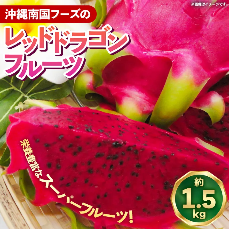【2026年発送】南国フーズのドラゴンフルーツ 【レッドドラゴンフルーツ】 約1.5kg - 赤 果肉 レッド ピタヤ スーパーフルーツ 先行受付 先行予約 人気 抗酸化作用 ベタシアニン おすすめ 国産 沖縄県 八重瀬町