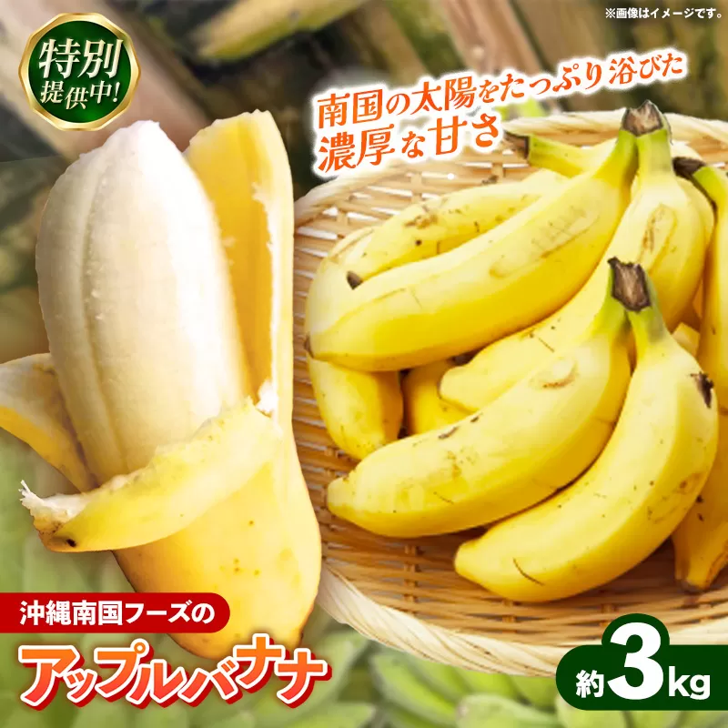 【特別提供中】 国産 希少種！南国フーズのアップルバナナ 約3kg - バナナ ばなな 小ぶり 沖縄県 産地直送 果物 フルーツ 南国 朝食 おすすめ 沖縄県 八重瀬町【価格改定】