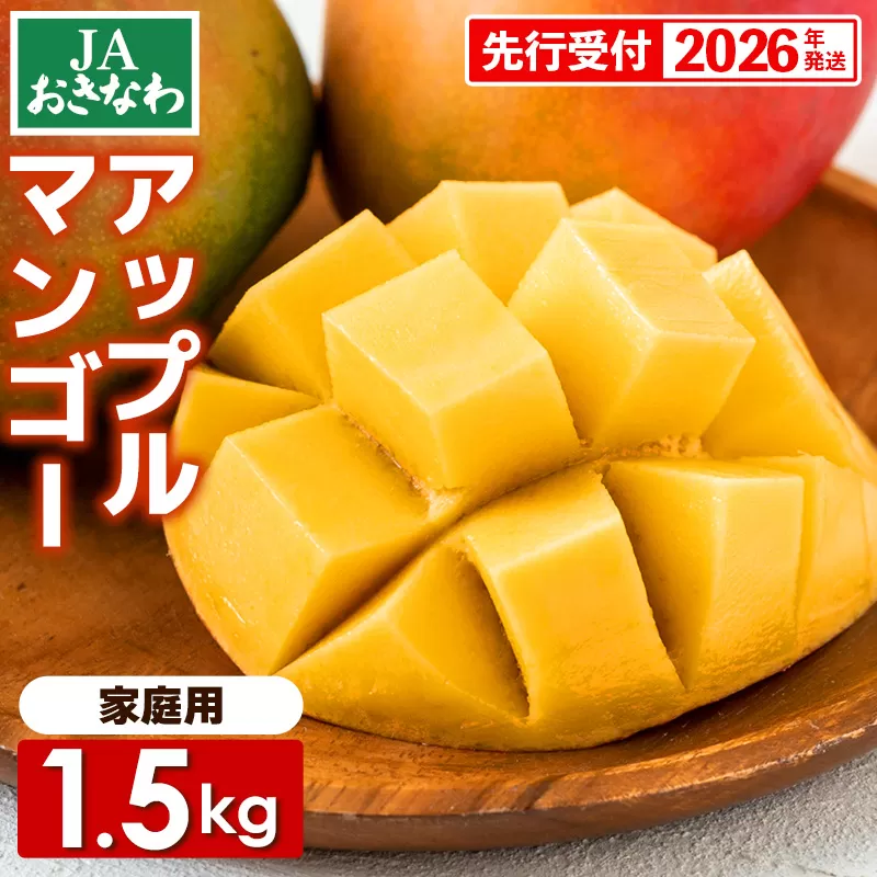 【先行受付】【2026年発送】JAおきなわの産直アップルマンゴー 約1.5kg【ご家庭用・白箱】- 先行予約 沖縄 産地直送 南国フルーツ 旬の味覚 家庭用 オススメ 沖縄県 八重瀬町