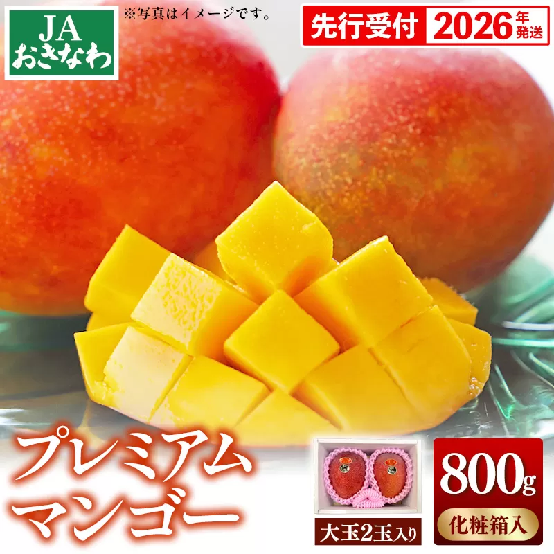 【化粧箱入】【先行受付・2026年発送】JAおきなわプレミアムマンゴー 約800g【大玉2玉】- 先行予約 沖縄 産地直送 季節の果物 旬の味覚 アップルマンゴー 贈り物 プレゼント ギフト 沖縄県 八重瀬町