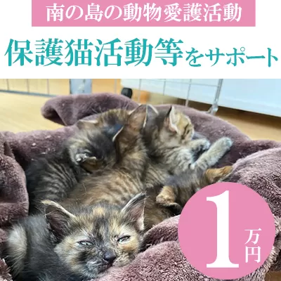 【南の島の動物愛護活動】保護猫活動等をサポート（1万円）