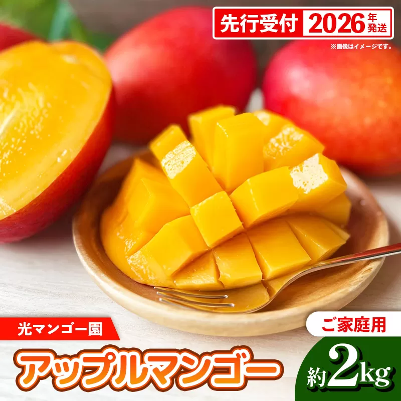 【先行受付】【2026年発送】光マンゴー園の家庭用アップルマンゴー約2kg（4～6玉）白箱 - ご自宅用 先行予約 沖縄県産 産地直送 南国フルーツ 旬の味覚 オススメ 沖縄県 八重瀬町