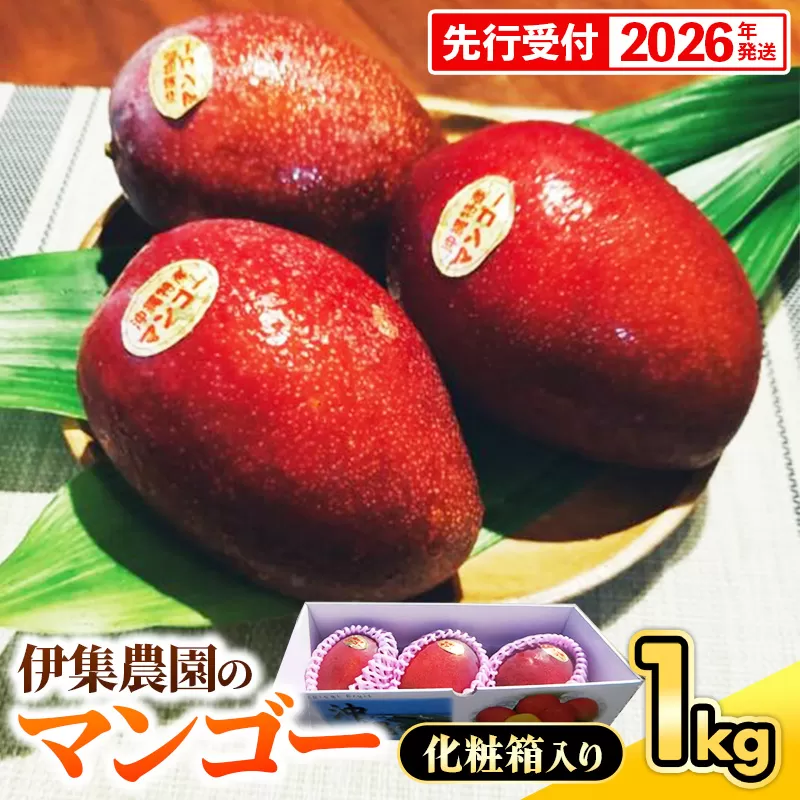 【化粧箱入】【先行受付・2026年発送】伊集農園  沖縄県産マンゴー（贈答用）約1kg - 先行予約 沖縄 産地直送 南国フルーツ 旬の味覚 旬のフルーツ 沖縄県 八重瀬町