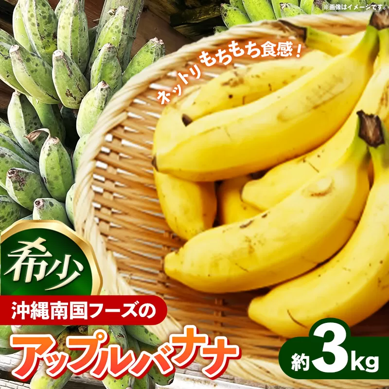 国産 希少種！南国フーズのアップルバナナ 約3kg - バナナ ばなな 小ぶり 沖縄県 産地直送 果物 フルーツ 南国 朝食 おすすめ 沖縄県 八重瀬町