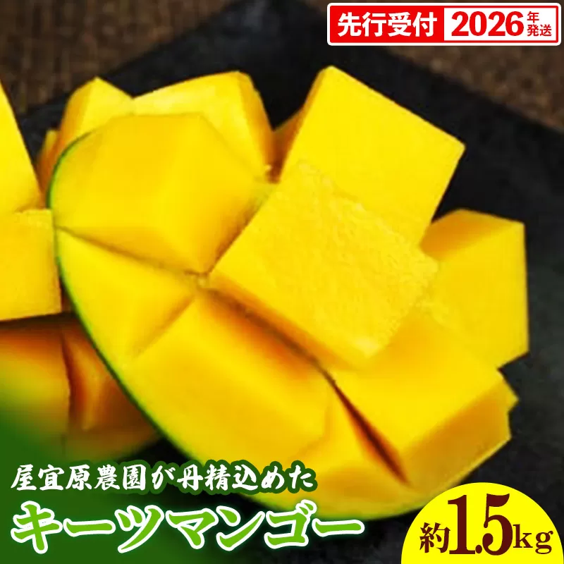 【先行受付】【2026年発送】屋宜原農園が丹精込めた「キーツマンゴー」約1.5kg - 先行予約 沖縄 産地直送 南国フルーツ 旬の味覚 沖縄県産 国産マンゴー 希少種 季節の果物 沖縄県 八重瀬町