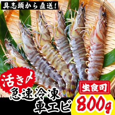 【訳アリ】活き〆急速冷凍車エビ（生食可・約800g）【先行受付】- 2025年8月より順次発送 海老 車えび 車海老 冷凍 生エビ 国産 養殖 えび天 エビフライ 塩焼き 人気 沖縄県 八重瀬町