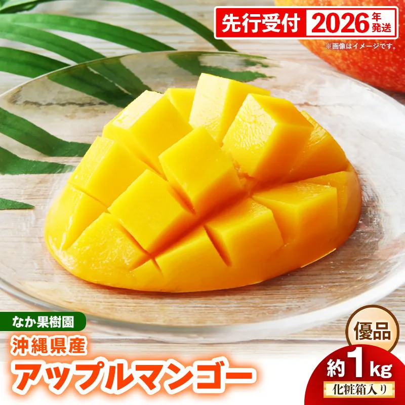【化粧箱入り】【先行受付・2026年発送】なか果樹園 アップルマンゴー 優品 約1kg - 産地直送 先行予約 沖縄県産 贈り物 ギフト プレゼント 南国フルーツ 旬の味覚 オススメ 沖縄県 八重瀬町