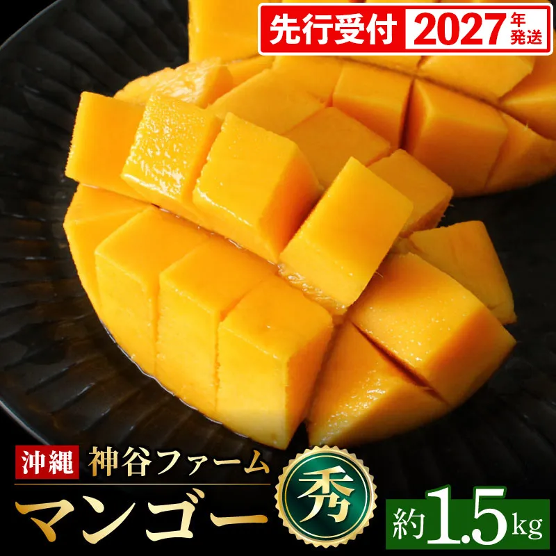 【化粧箱入】【先行受付・2027年発送】神谷ファームのマンゴー(秀)約1.5Kg - 先行予約 沖縄県産 産地直送 南国フルーツ 旬の味覚 季節の果物 贈り物 ギフト 沖縄県 八重瀬町