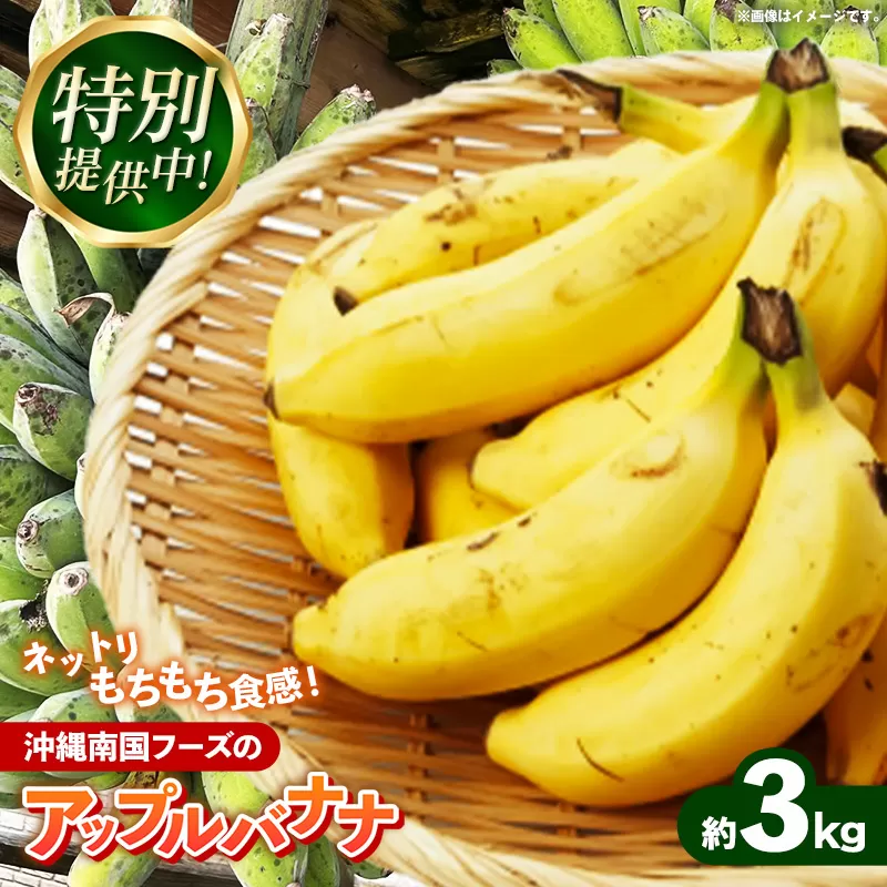 【特別提供中】 国産 希少種！南国フーズのアップルバナナ 約3kg - バナナ ばなな 小ぶり 沖縄県 産地直送 果物 フルーツ 南国 朝食 おすすめ 沖縄県 八重瀬町【価格改定】