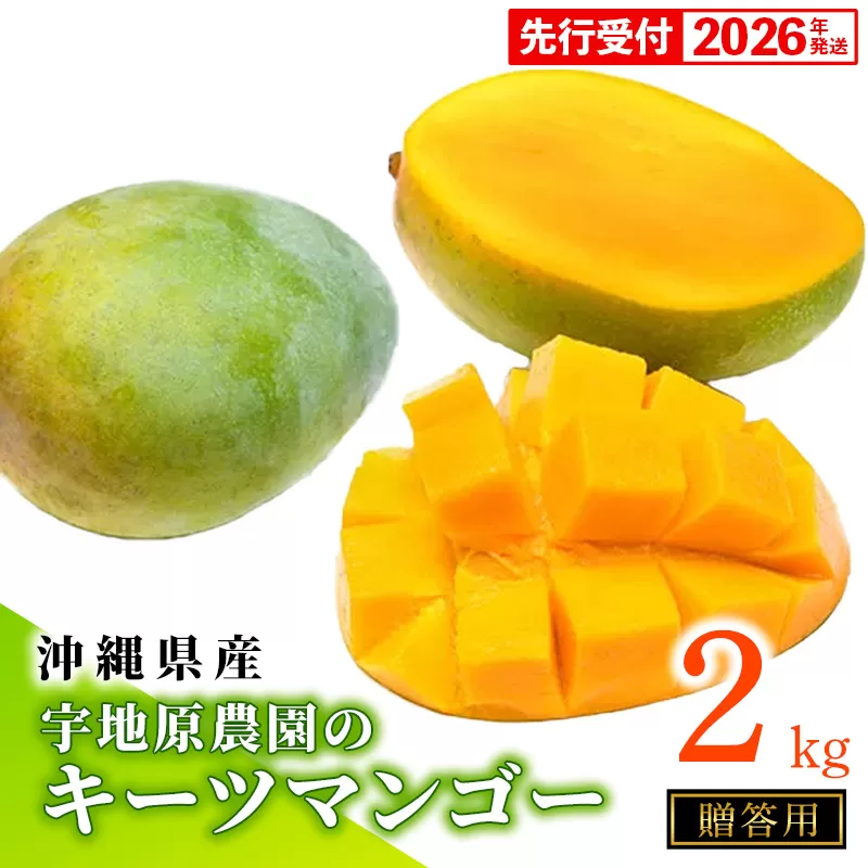 【贈答用】【先行受付・2026年発送】宇地原農園の沖縄県産キーツマンゴー約2kg - 先行予約 沖縄県産 産地直送 南国フルーツ 旬の味覚 季節の果物 希少種 化粧箱 ギフト 贈り物 沖縄県 八重瀬町