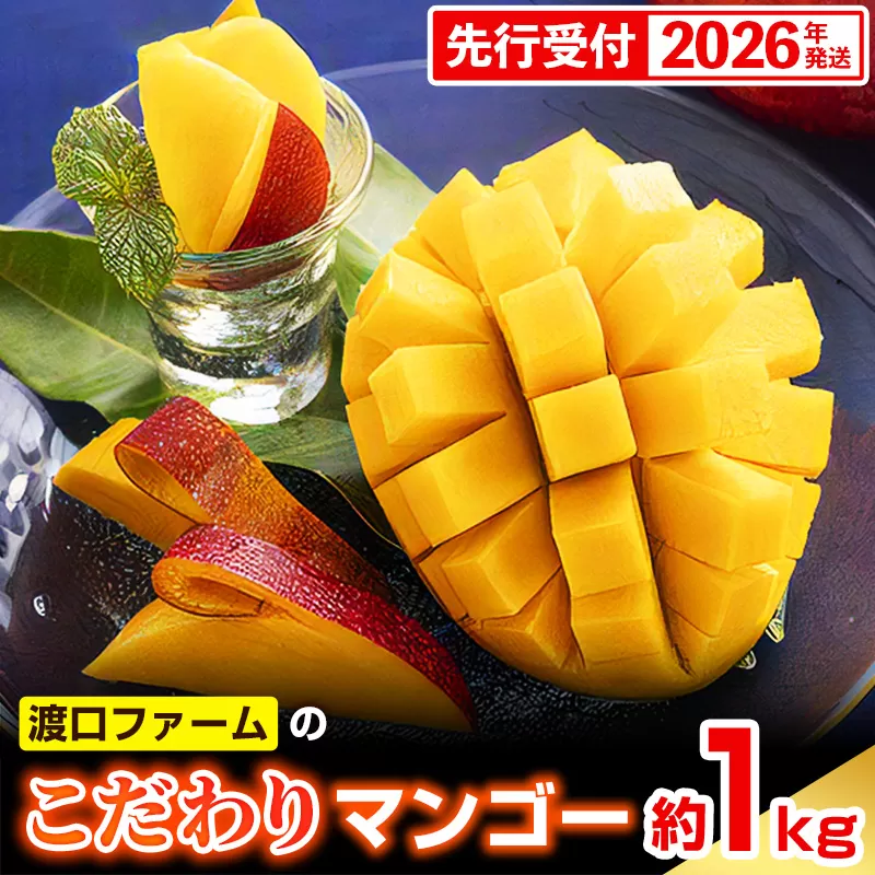 【化粧箱入】【先行受付・2026年発送】渡口ファームのこだわりマンゴー約1kg - 先行予約 沖縄県産 産地直送 南国フルーツ 旬の味覚 季節の果物 贈り物 ギフト 沖縄県 八重瀬町