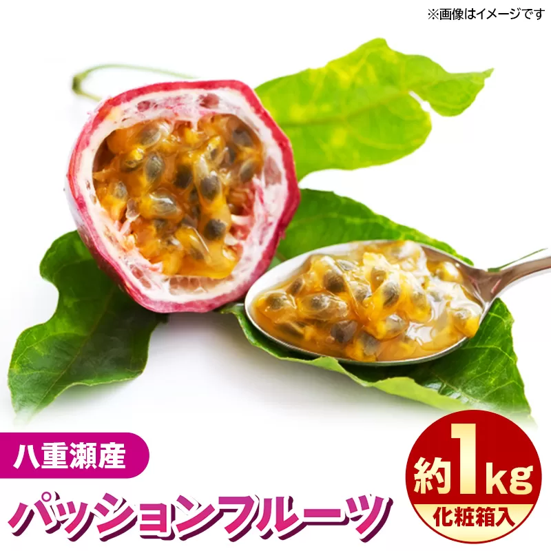 【化粧箱入】【先行受付・2025年発送】わらやーファーム パッションフルーツ 約1kg - 贈答用 プレゼント 贈り物 ギフト 南国フルーツ 国産 先行予約 おすすめ 沖縄県 八重瀬町