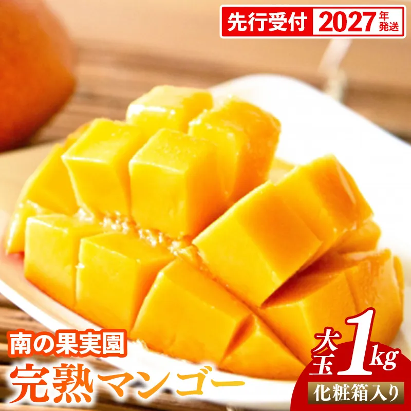 【化粧箱入】【先行受付・2027年発送】南の果実園 完熟マンゴー 大玉 1kg（2玉）〈贈答用化粧箱入り〉- 先行予約 沖縄県産 産地直送 アップルマンゴー 旬の味覚 季節の果物 贈り物 ギフト 沖縄県 八重瀬町
