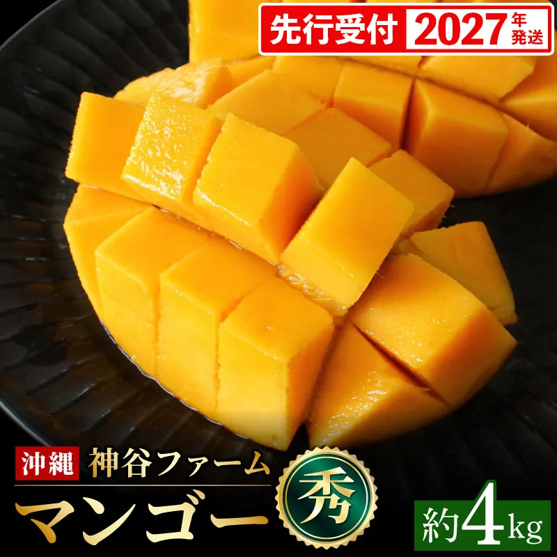 【化粧箱入】【先行受付・2027年発送】神谷ファームのマンゴー（秀）約4kg - 先行予約 沖縄県産 産地直送 南国フルーツ 旬の味覚 季節の果物 贈り物 ギフト 沖縄県 八重瀬町