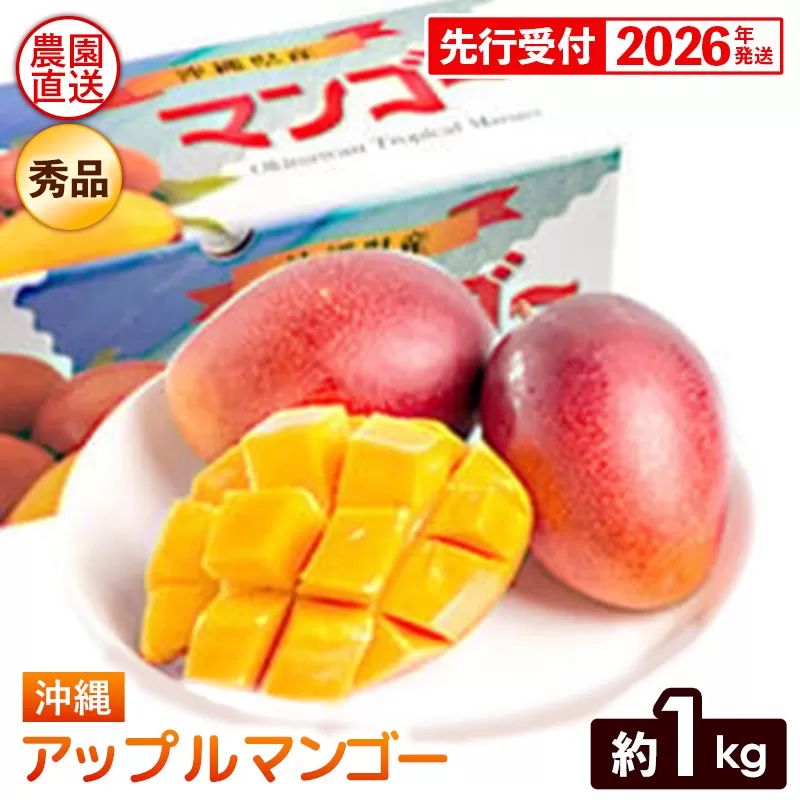 【化粧箱入】【先行受付・2026年発送】ヤマト農園 アップルマンゴー約1kg（秀品）- 先行予約 沖縄県産 産地直送 南国フルーツ 旬の味覚 季節の果物 贈り物 ギフト 沖縄県 八重瀬町