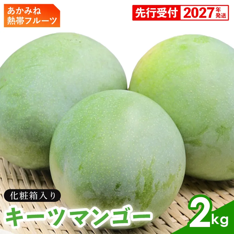 【化粧箱入】【先行受付・2027年発送】あかみね熱帯フルーツのキーツマンゴー 約2kg - 先行予約 沖縄県産 産地直送 南国フルーツ 旬の味覚 季節の果物 希少種 化粧箱 ギフト 沖縄県 八重瀬町