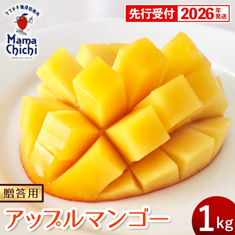 【贈答用】【先行受付・2026発送】ママチチマンゴーファームの贈答用アップルマンゴー約1kg - 先行予約 沖縄県産 産地直送 南国フルーツ 旬の味覚 旬のフルーツ 贈り物 ギフト 沖縄県 八重瀬町