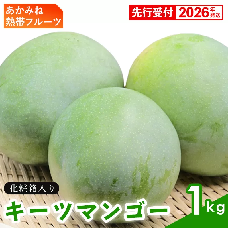 【化粧箱入】【先行受付・2026年発送】あかみね熱帯フルーツのキーツマンゴー約1kg - 先行予約 沖縄県産 産地直送 南国フルーツ 旬の味覚 季節の果物 希少種 化粧箱 ギフト 沖縄県 八重瀬町
