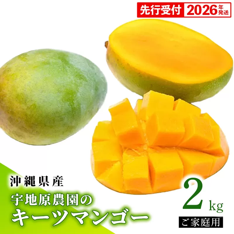 【先行受付】【2026年発送】宇地原農園の沖縄県産 家庭用キーツマンゴー約2kg - 先行予約 沖縄県産 産地直送 南国フルーツ 旬の味覚 季節の果物 ご自宅用 希少種 沖縄県 八重瀬町