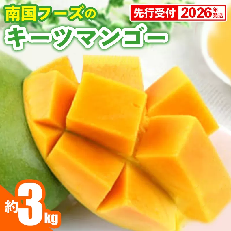 【先行受付】【2026年発送】南国フーズのキーツマンゴー 約3kg - 先行予約 沖縄 産地直送 南国フルーツ 旬の味覚 沖縄県産 国産マンゴー 希少種 オススメ 沖縄県 八重瀬町