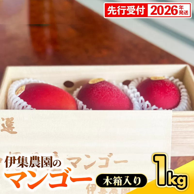 【木箱入】【先行受付・2026年発送】伊集農園  沖縄県産マンゴー（贈答用木箱）約1kg - 先行予約 沖縄 産地直送 南国フルーツ 旬の味覚 旬のフルーツ 贈り物 ギフト 沖縄県 八重瀬町
