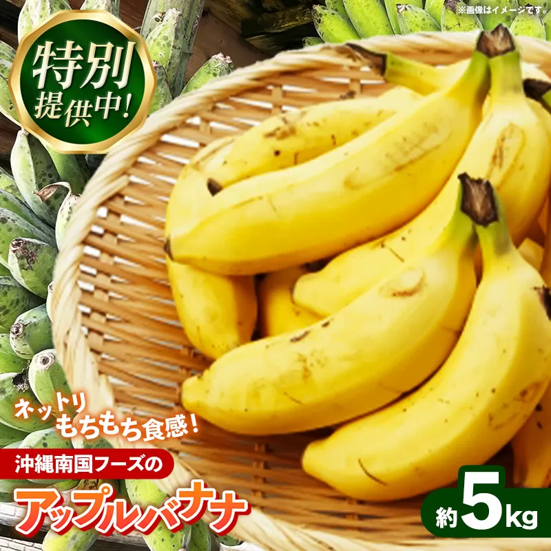 【特別提供中】 国産 希少種！南国フーズのアップルバナナ 約5kg - バナナ ばなな 小ぶり 沖縄県 産地直送 果物 フルーツ 南国 朝食 おすすめ 沖縄県 八重瀬町【価格改定】