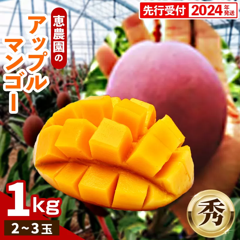 【先行受付】【2024年発送】恵農園のアップルマンゴー『秀』約1kg（2～3玉）