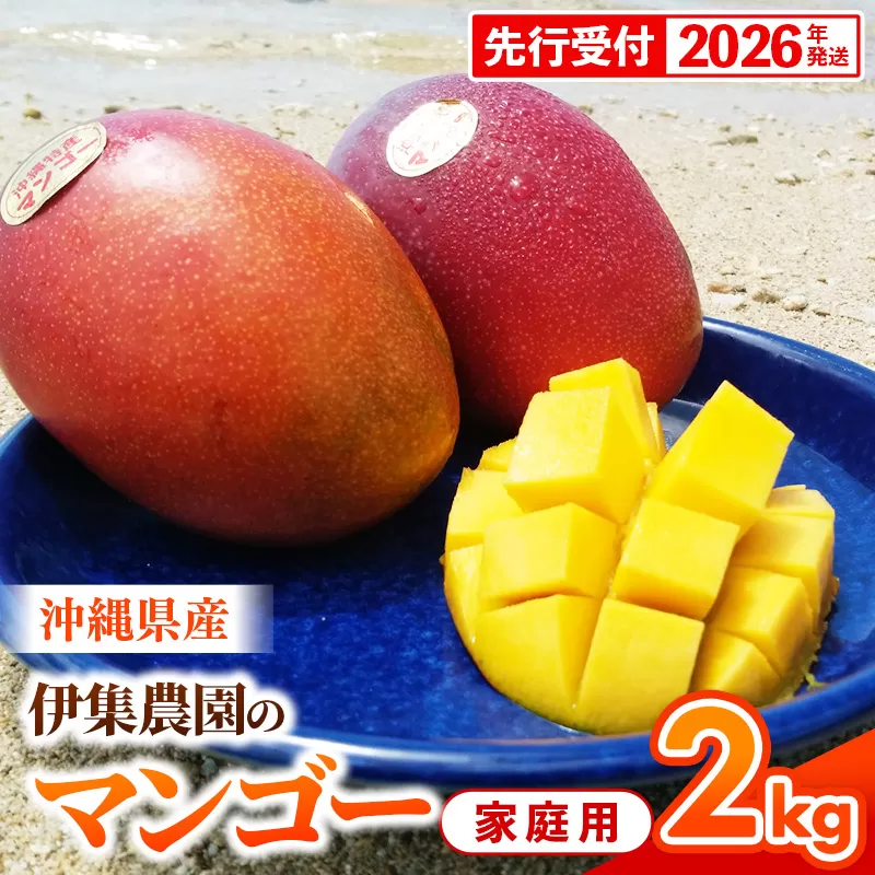 【先行受付】【2026年発送】伊集農園  沖縄県産マンゴー ご家庭用 約2kg - 先行予約 沖縄 産地直送 南国フルーツ 旬の味覚 家庭用 2キロ オススメ 沖縄県 八重瀬町