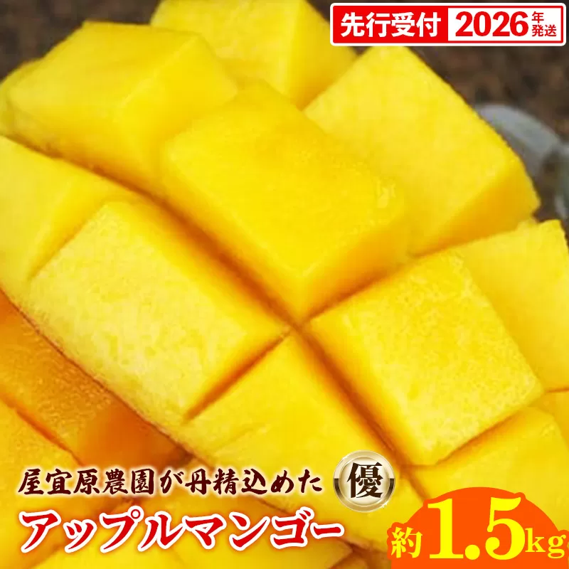 【先行受付】【2026年発送】屋宜原農園が丹精込めた「アップルマンゴー」優約1.5kg - 先行予約 沖縄県産 産地直送 南国フルーツ 旬の味覚 季節の果物 贈り物 ギフト 沖縄県 八重瀬町