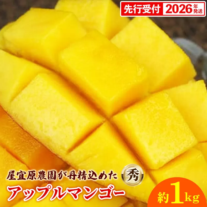 【先行受付】【2026年発送】屋宜原農園が丹精込めた「アップルマンゴー」秀約1kg - 先行予約 沖縄県産 産地直送 南国フルーツ 旬の味覚 旬のフルーツ 贈り物 ギフト 沖縄県 八重瀬町