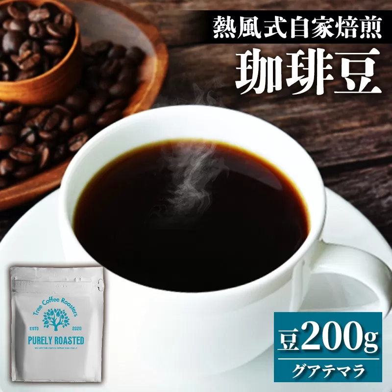 【完全受注焙煎】Tree Coffee Roasters「グアテマラ エスエイチビー カフェピューマ ハイロースト」 200g - コーヒー 豆 こだわり 自家焙煎 コーヒー豆 熱風式焙煎 本格 贈り物 おすすめ 人気 沖縄県 八重瀬町