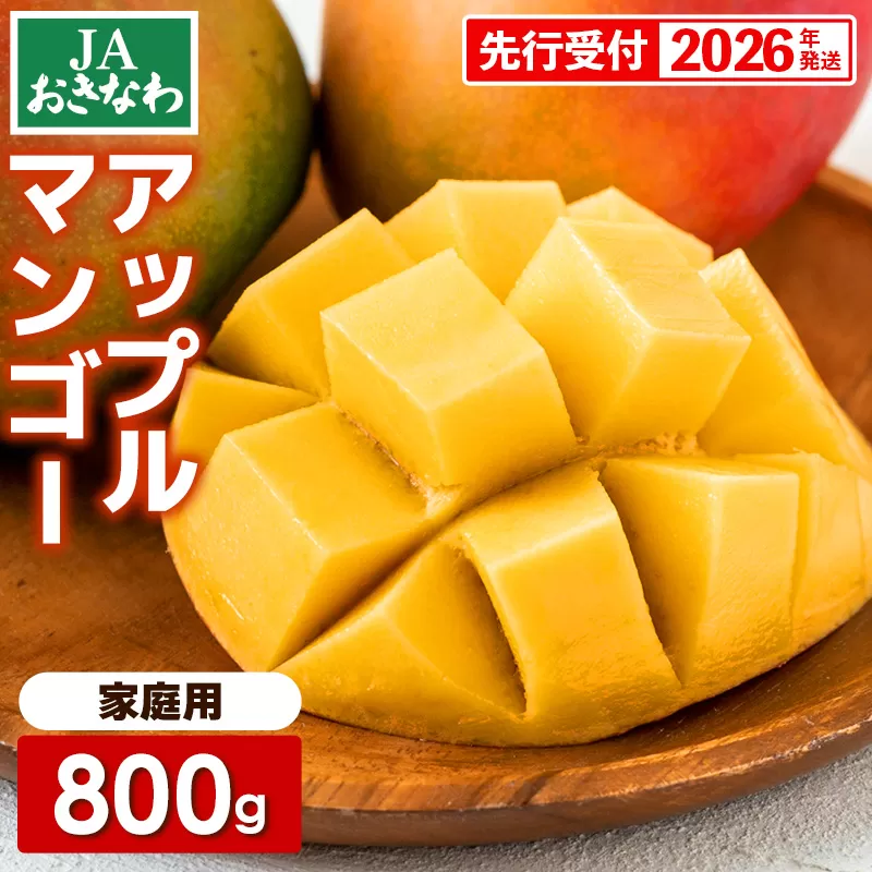 【先行受付】【2026年発送】JAおきなわの産直アップルマンゴー 約800g　2~4玉入り【ご家庭用・白箱】- 先行予約 沖縄 産地直送 南国フルーツ 旬の味覚 家庭用 オススメ 沖縄県 八重瀬町