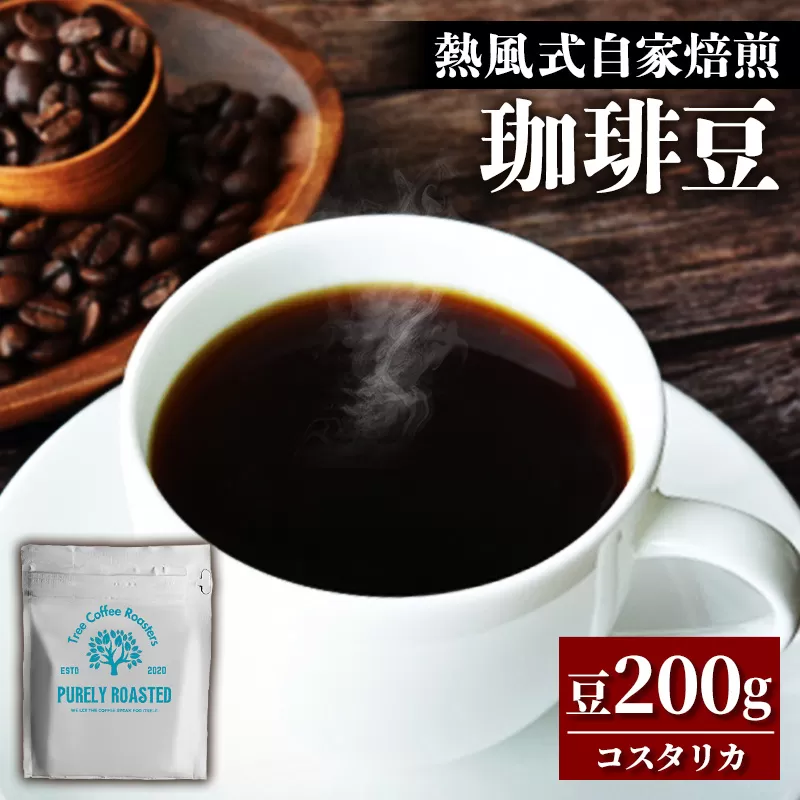 【完全受注焙煎】Tree Coffee Roasters「コスタリカ タラス ハニー ハイロースト」 200g - コーヒー 豆 こだわり 自家焙煎 コーヒー豆 熱風式焙煎 本格 贈り物 おすすめ 人気 沖縄県 八重瀬町