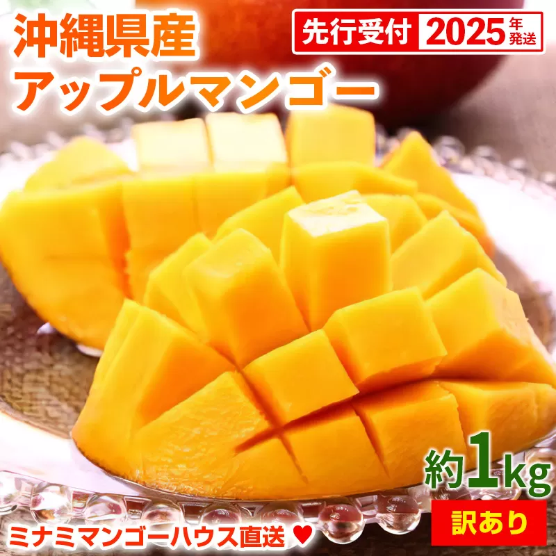 【2025年発送・訳あり】ミナミマンゴーハウスのアップルマンゴー約1kg - 先行 沖縄県産 産地直送 南国フルーツ 旬の味覚 季節の果物 ご自宅用 訳アリ 沖縄マンゴー 沖縄県 八重瀬町