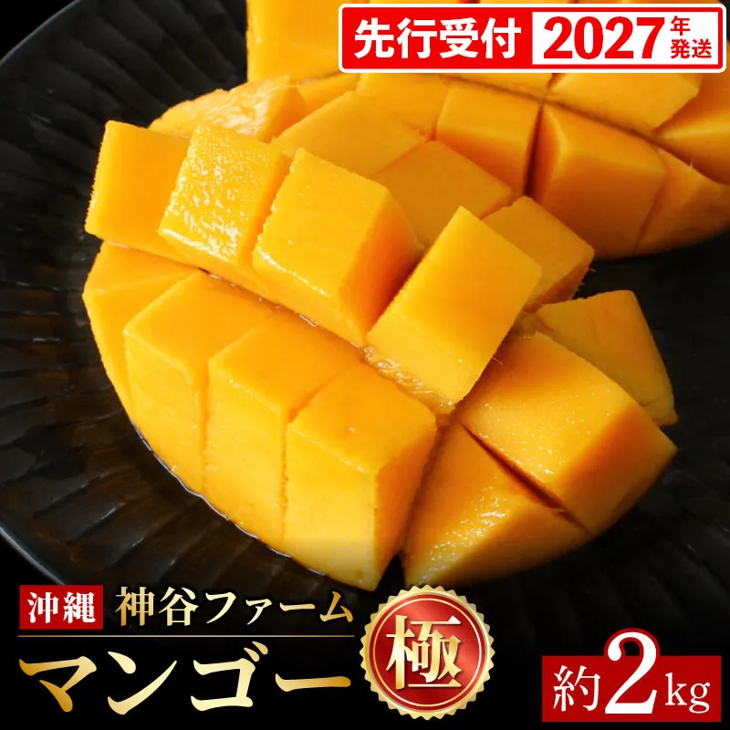 【化粧箱入】【先行受付・2027年発送】神谷ファームのマンゴー（極）約2Kg - 先行予約 沖縄県産 産地直送 南国フルーツ 旬の味覚 季節の果物 贈り物 ギフト 沖縄県 八重瀬町
