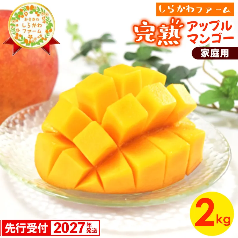 【先行受付】【2027年発送】しらかわファームの家庭用アップルマンゴー約2kg - 先行予約 沖縄県産 産地直送 南国フルーツ 旬の味覚 季節の果物 ご自宅用 家庭用 沖縄県 八重瀬町