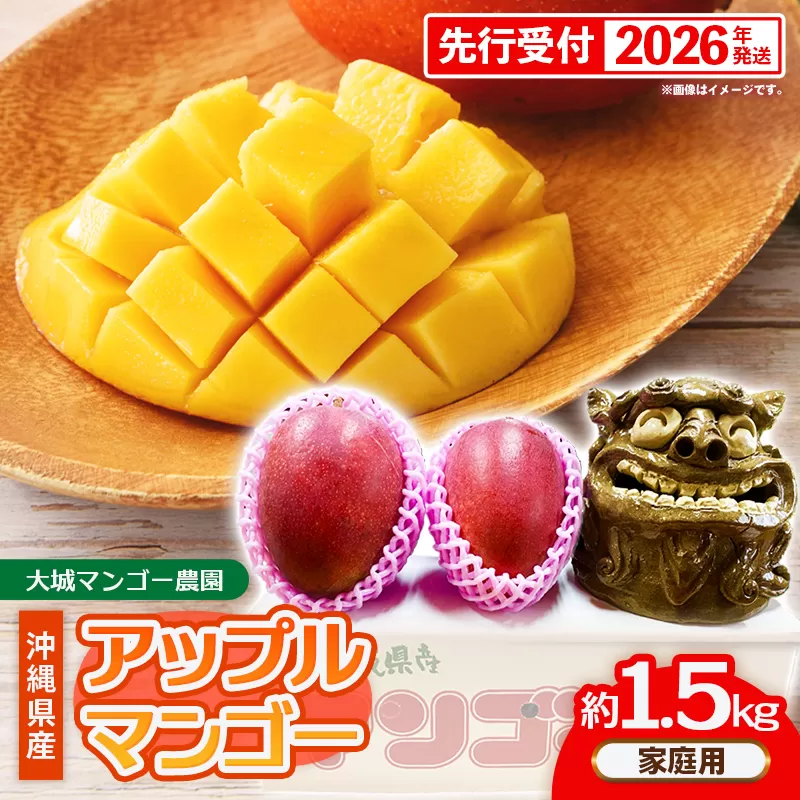 [先行受付][2026年発送]大城マンゴー農園 マンゴー 家庭用 約1.5kg - 先行予約 アップルマンゴー 沖縄 産地直送 南国フルーツ 旬の味覚 ご自宅用 オススメ 沖縄県 八重瀬町