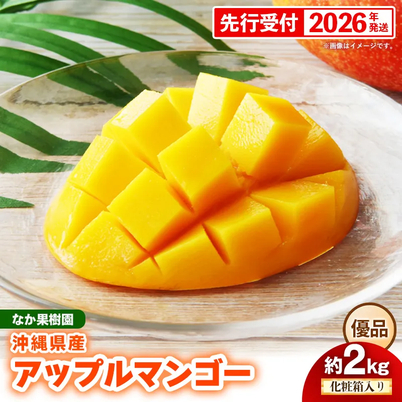 【化粧箱入り】【先行受付・2026年発送】なか果樹園 アップルマンゴー 優品 約2kg - 産地直送 先行予約 沖縄県産 贈り物 ギフト プレゼント 南国フルーツ 旬の味覚 オススメ 沖縄県 八重瀬町