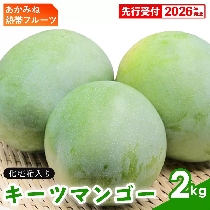 【化粧箱入】【先行受付・2026年発送】あかみね熱帯フルーツのキーツマンゴー約2kg - 先行予約 沖縄県産 産地直送 南国フルーツ 旬の味覚 季節の果物 希少種 化粧箱 ギフト 沖縄県 八重瀬町