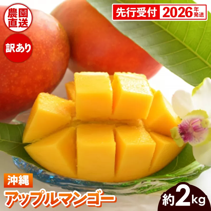 【先行受付】【2026年発送】ヤマト農園 アップルマンゴー訳あり約2kg（4～6玉）- 先行予約 沖縄県産 産地直送 南国フルーツ 旬の味覚 季節の果物 ご自宅用 訳アリ 沖縄マンゴー 沖縄県 八重瀬町