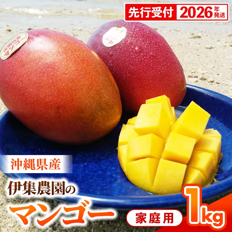 【先行受付】【2026年発送】伊集農園 沖縄県産マンゴー ご家庭用 約1kg - 先行予約 沖縄 産地直送 南国フルーツ 旬の味覚 家庭用 1キロ オススメ 沖縄県 八重瀬町