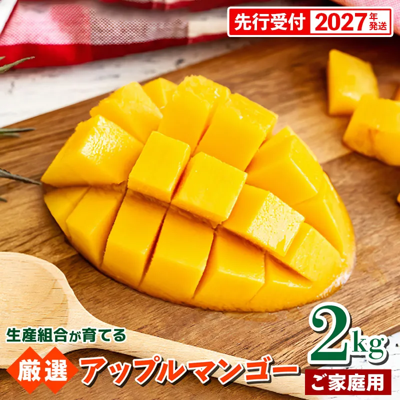 【先行受付】【2027年発送】生産組合が育てるアップルマンゴー約2kg(家庭用)- 先行予約 沖縄県産 産地直送 南国フルーツ 旬の味覚 季節の果物 ご自宅用 沖縄マンゴー 沖縄県 八重瀬町