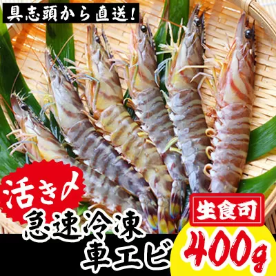 【訳アリ】活き〆急速冷凍車エビ（生食可・約400g）【先行受付】- 2025年8月より順次発送 海老 車えび 車海老 冷凍 生エビ 国産 養殖 えび天 エビフライ 塩焼き 人気 沖縄県 八重瀬町