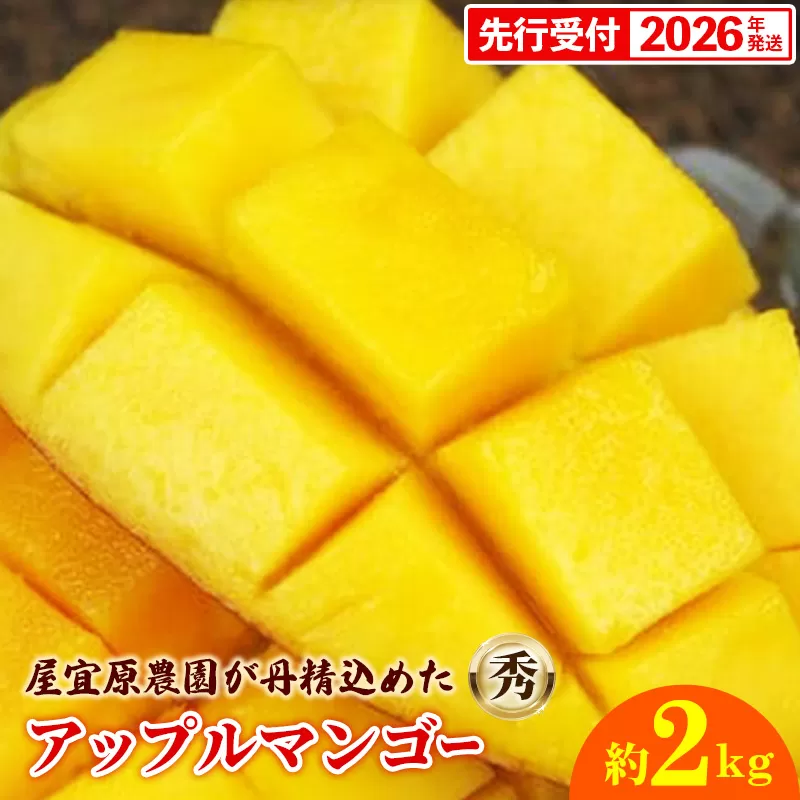 【先行受付】【2026年発送】屋宜原農園が丹精込めた「アップルマンゴー」秀約2kg - 先行予約 沖縄県産 産地直送 南国フルーツ 旬の味覚 旬のフルーツ 贈り物 ギフト 沖縄県 八重瀬町