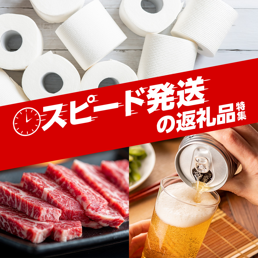 スピード発送の返礼品特集