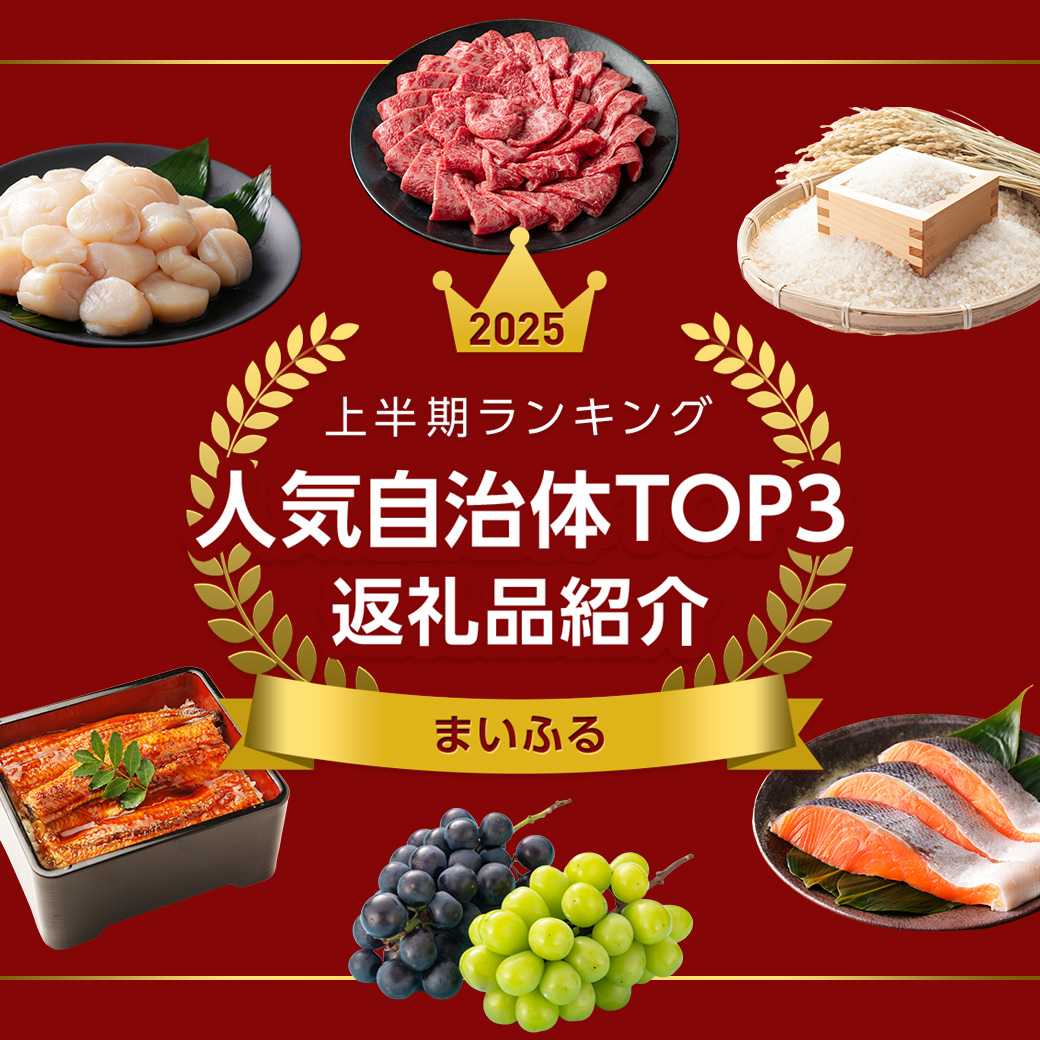 2025年上半期ランキング 人気自治体TOP3 返礼品紹介