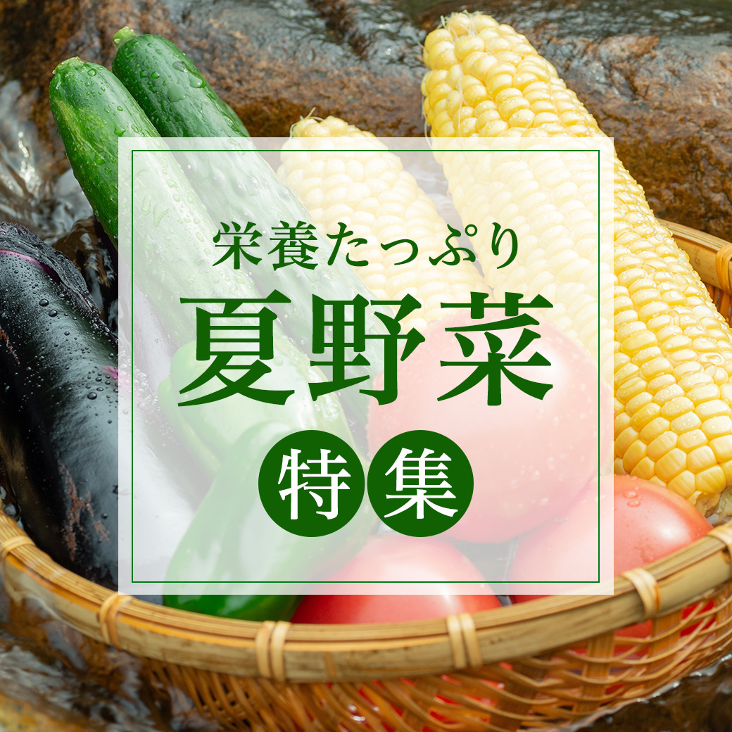 栄養たっぷり 夏野菜特集