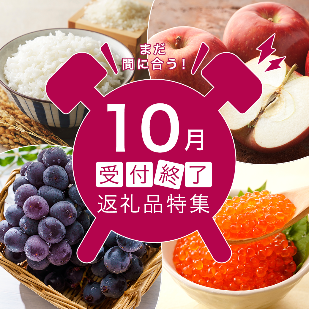 10月受付終了返礼品特集